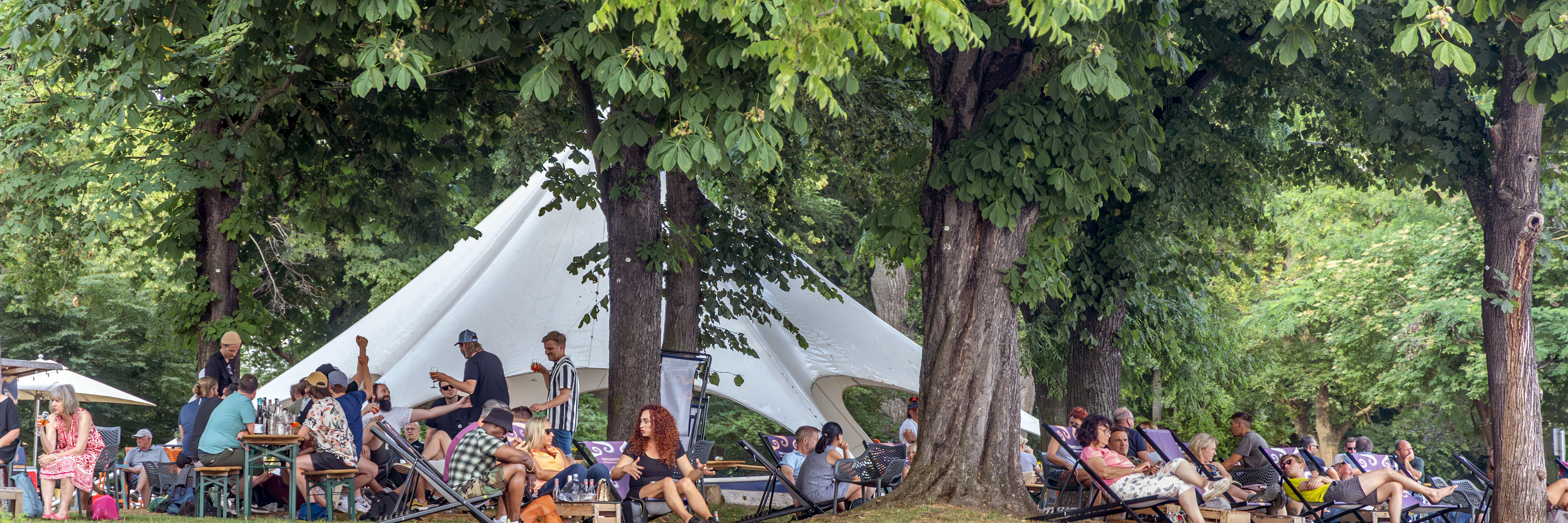 Viele Menschen liegen auf der Wiese oder sitzen entspannt auf Liegestühlen und trinken Wein. Um sie herum erkennt man einen Park mit großen Bäumen. Es ist eine entspannte Atmosphäre.