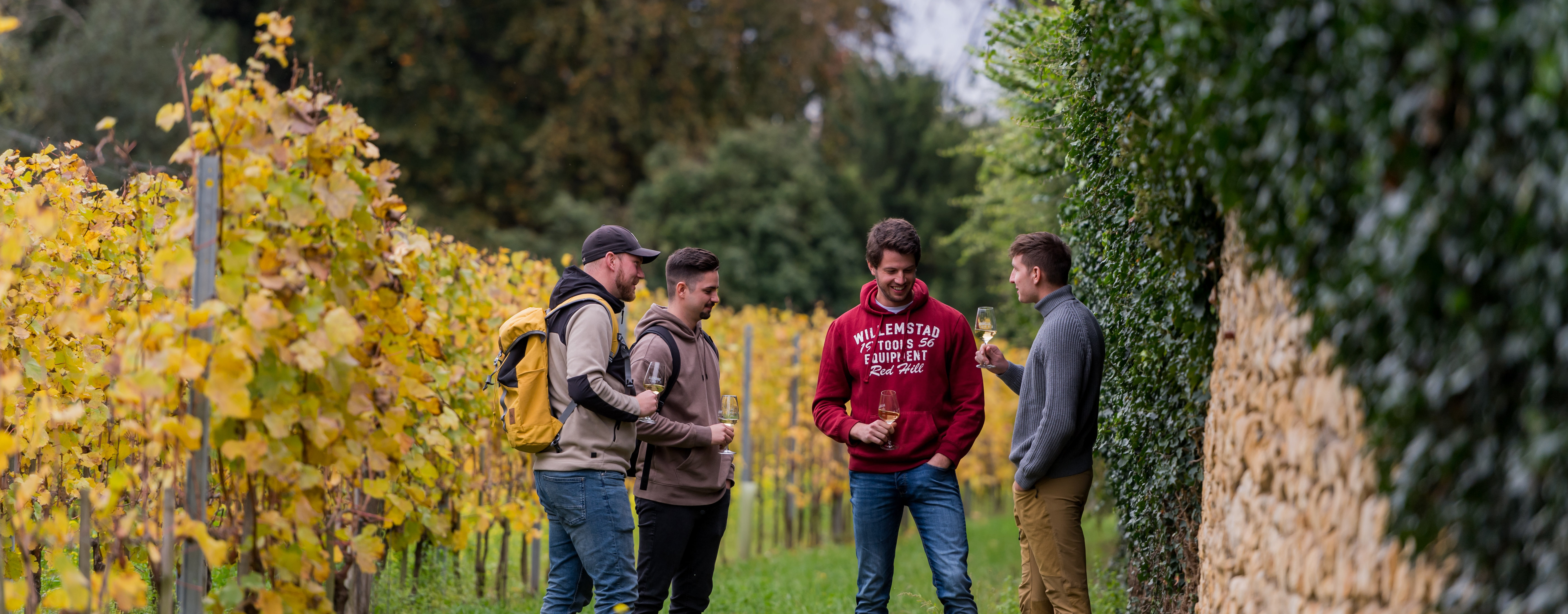 Weinwanderung in den Weinbergen Vier junge Männer stehen legerer Kleidung am Rande eines Weinberges und probieren einen Wein.