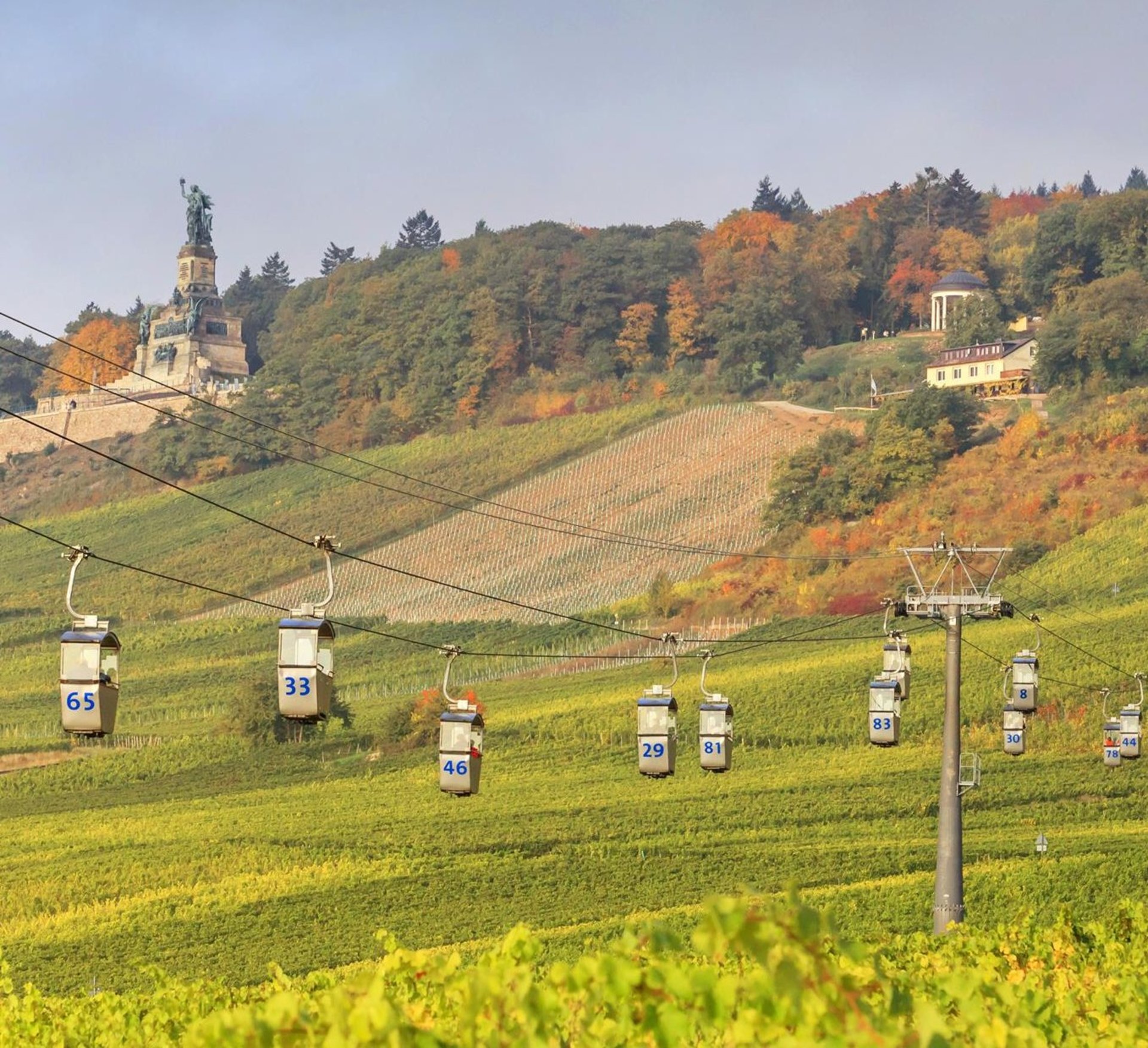 Die Seilbahn führt aus der Altstadt über die Weinberge hoch zum Niederwald.