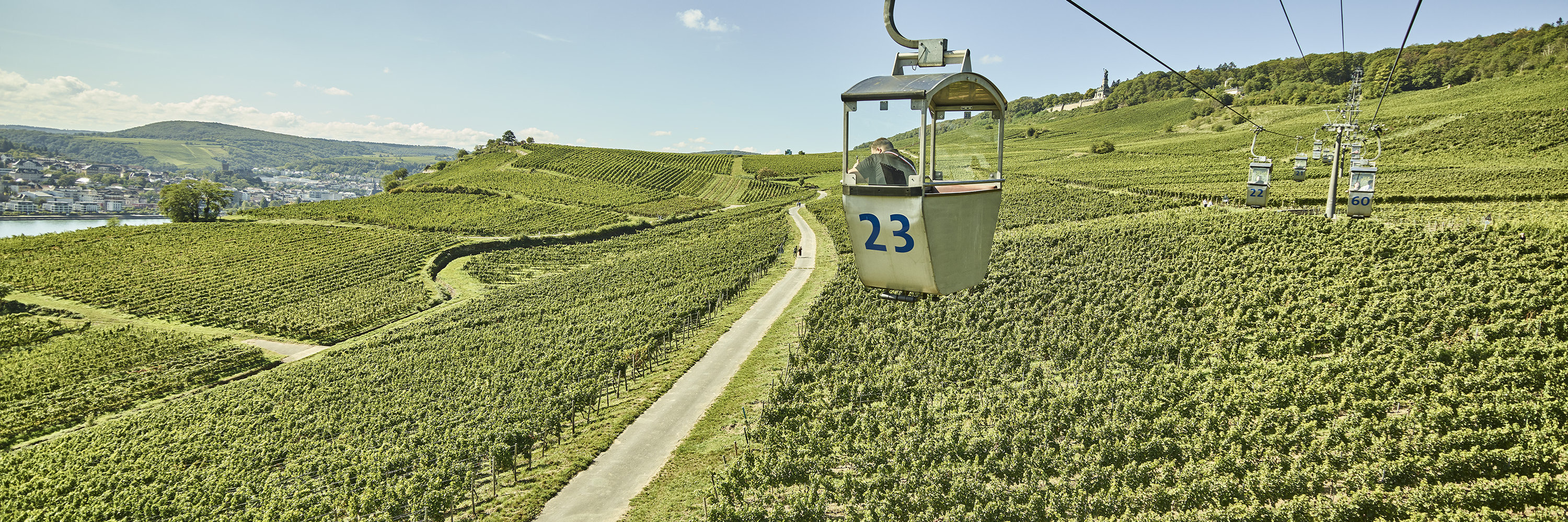 Seilbahn Rüdesheim Ein Wagon der Seilbahn schwebt über den Weinbergen von Rüdesheim.