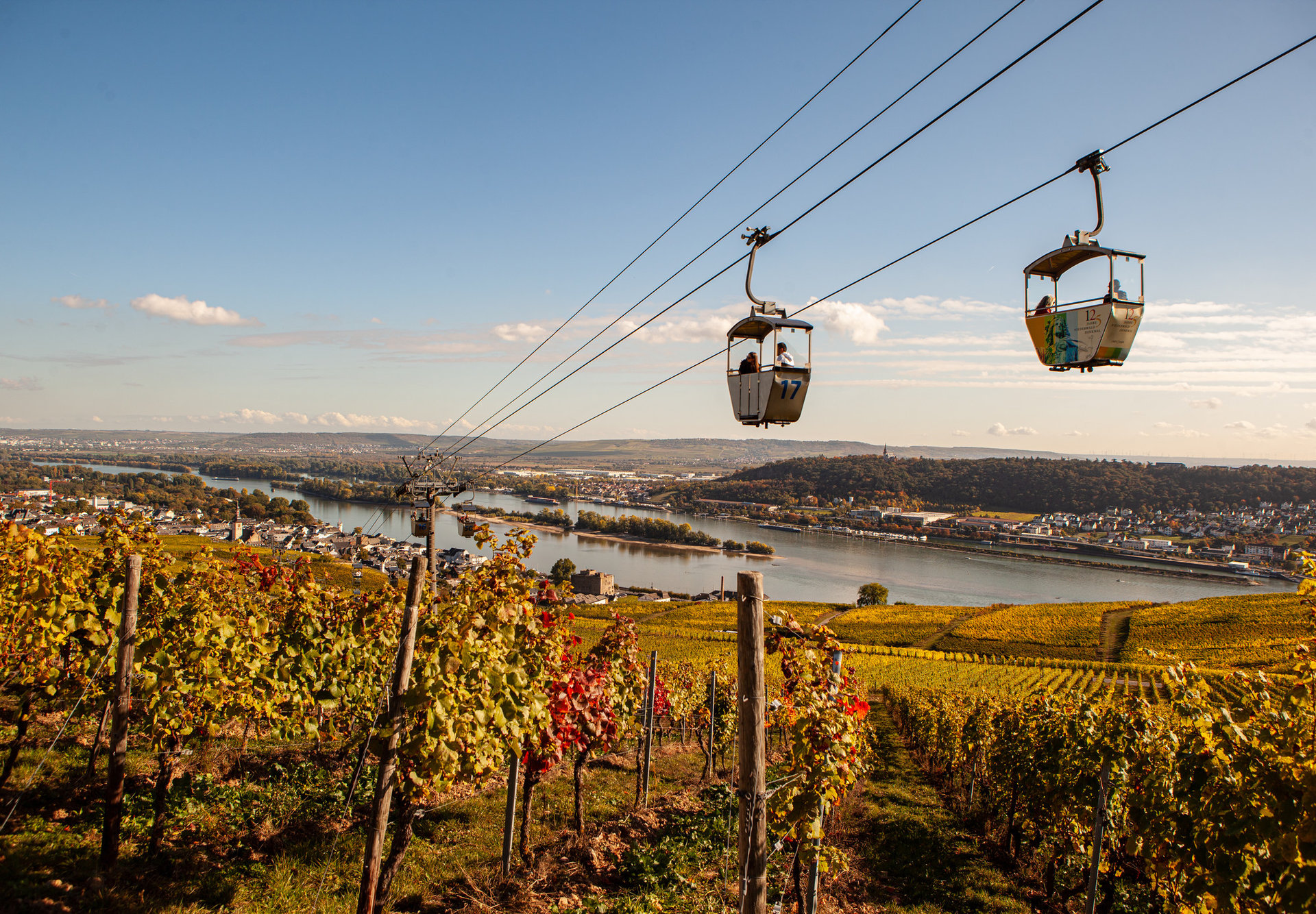 Seilbahn Rüdesheim Die Gondeln der Seilbahn schweben über den herbstlich gefärbten Weinberge. Im Hintergrund sieht man noch einen Teil des Rheins