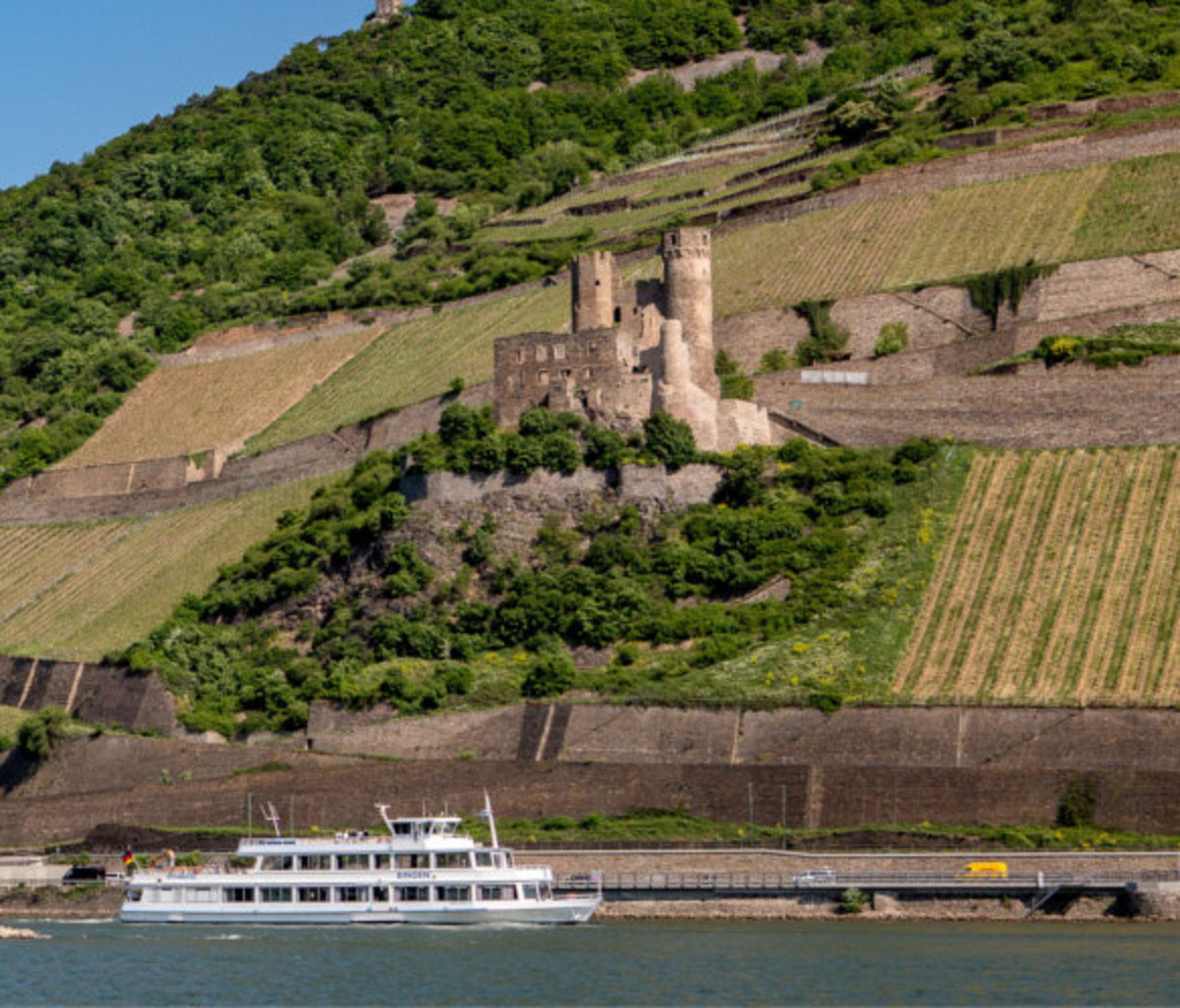 Schiff "MS Rhenus" auf dem Rhein Das Schiff die MS Rhenus fährt bei schönem Wetter auf dem Rhein. Sie befindet sich zwischen dem Mäuseturm und der Burgruine Ehrenfels.
