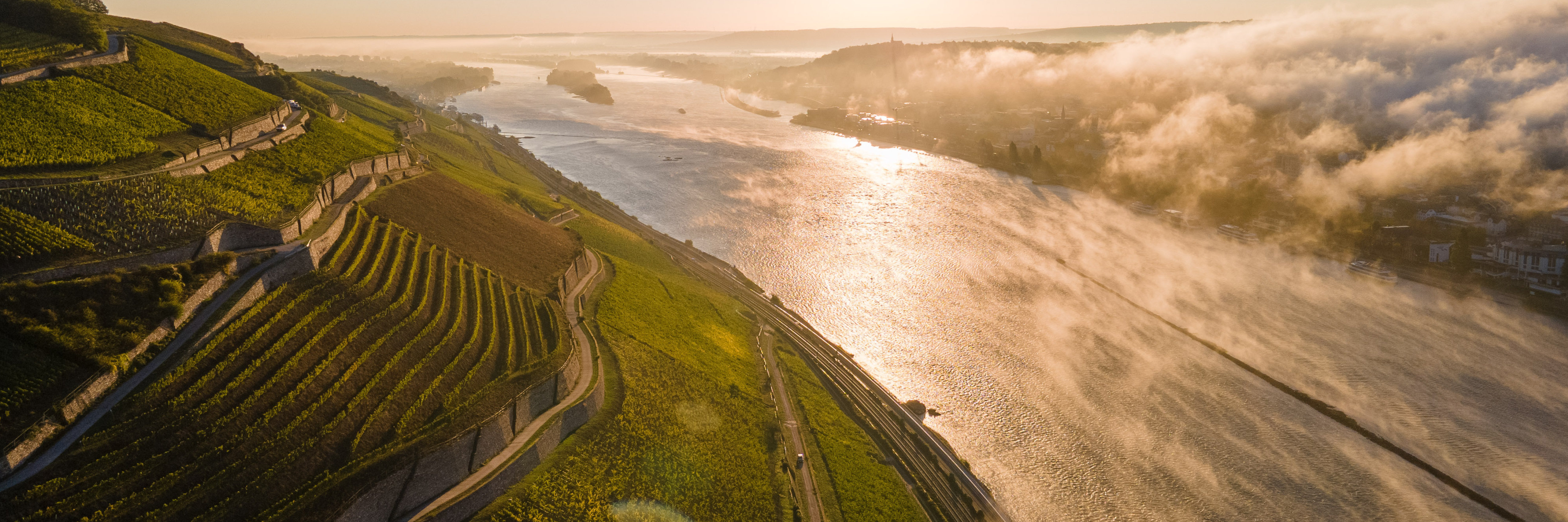 Weitblick über die Rüdesheimer Weinberge und den Rhein Das Bild zeigt den Blick von oben auf einen Rüdesheimer Weinberg zum Fluss. Es ist eine mystische Stimmung. Die Sonne strahlt den Weinberg an und die andere Flussseite liegt noch im Nebel.