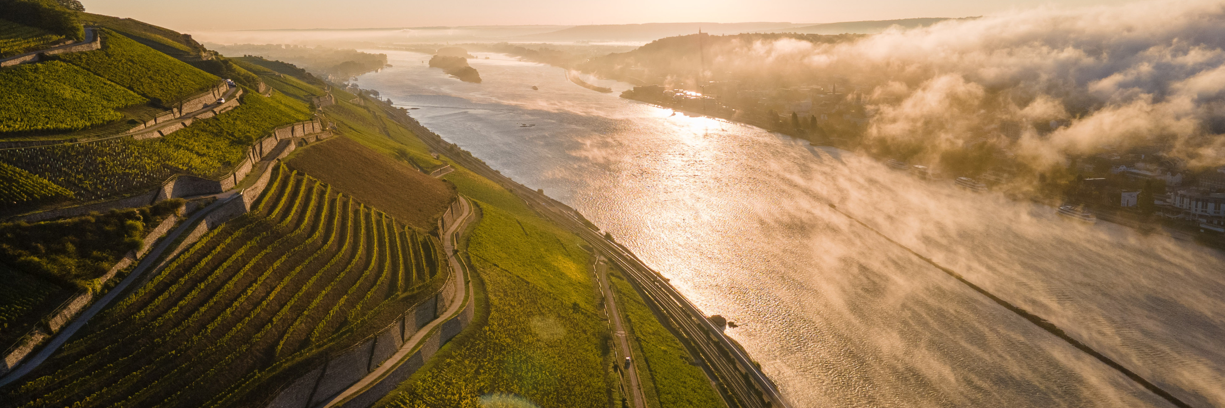 Weitblick über die Rüdesheimer Weinberge und den Rhein Das Bild zeigt den Blick von oben auf einen Rüdesheimer Weinberg zum Fluss. Es ist eine mystische Stimmung. Die Sonne strahlt den Weinberg an und die andere Flussseite liegt noch im Nebel.
