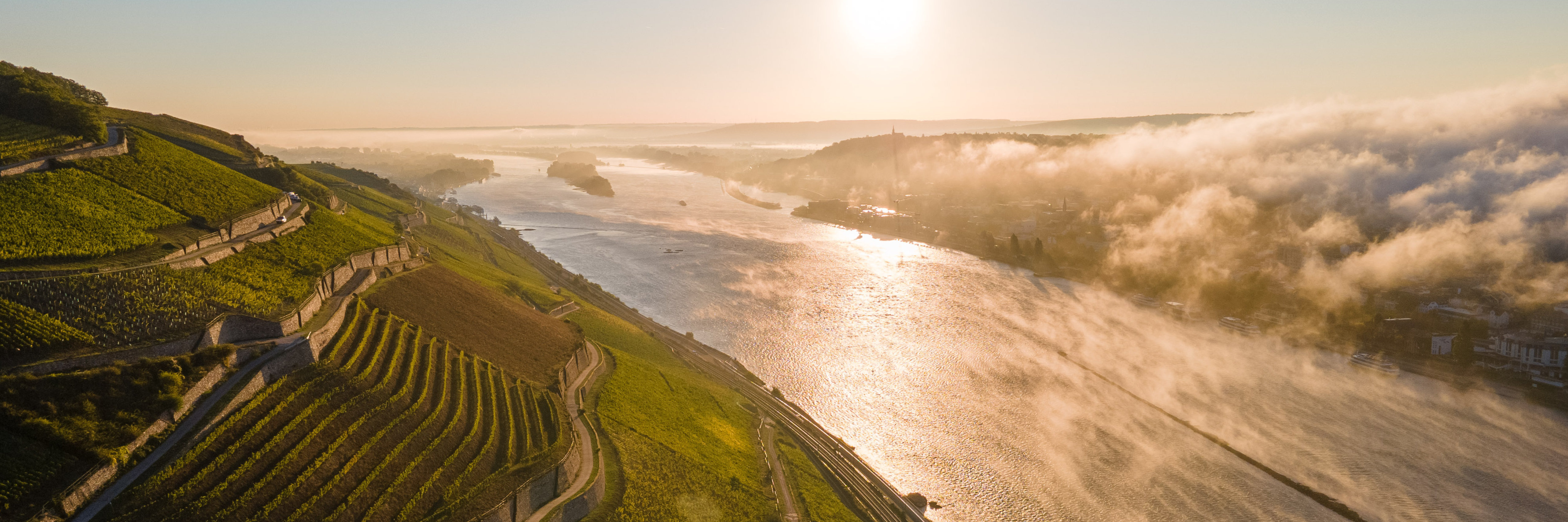 Weitblick über die Rüdesheimer Weinberge und den Rhein Das Bild zeigt den Blick von oben auf einen Rüdesheimer Weinberg zum Fluss. Es ist eine mystische Stimmung. Die Sonne strahlt den Weinberg an und die andere Flussseite liegt noch im Nebel.