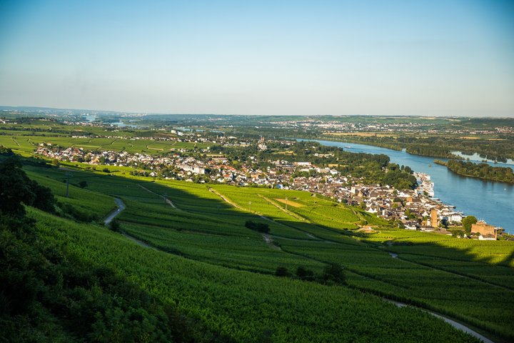 Blick auf Rüdesheim