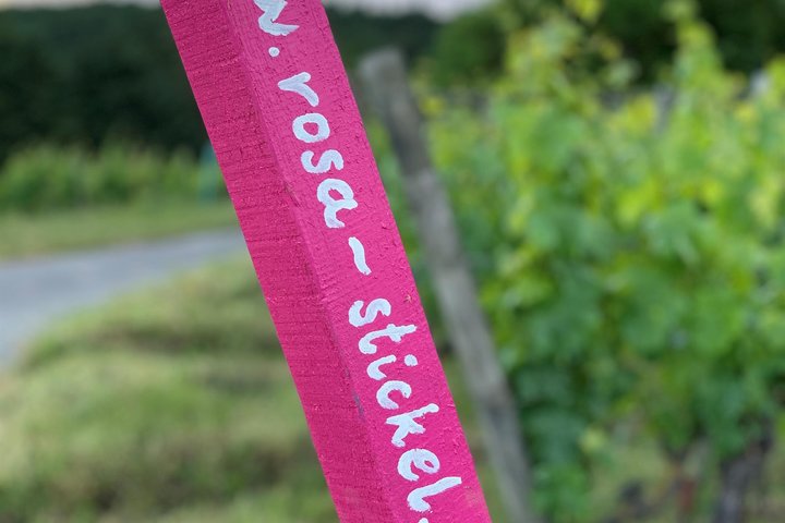 Weingut Rosa Stickel