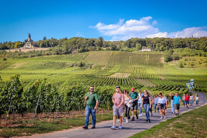 Weinwanderung