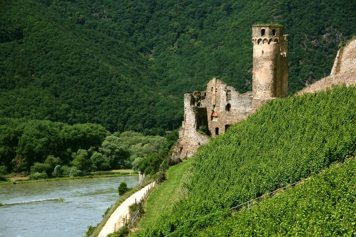 EHRENFELS. NÄGLER