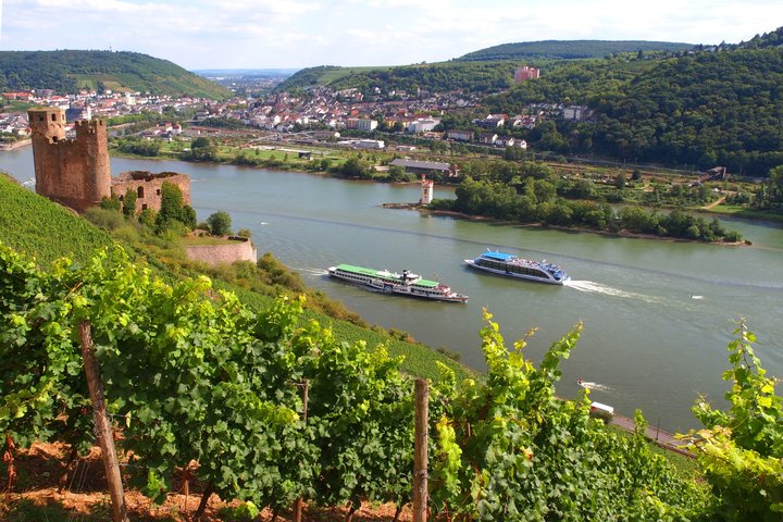 Blick auf den Rhein