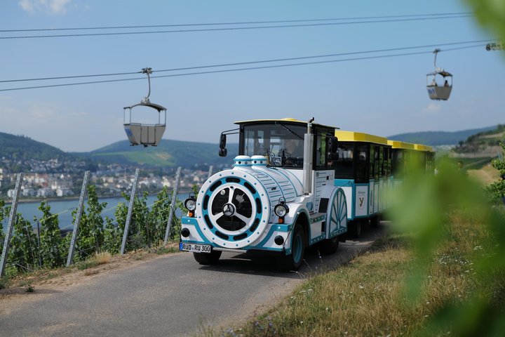 Rüdesheim Vineyard Express