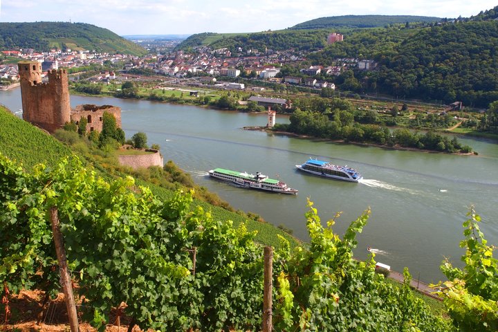 Blick auf den Rhein