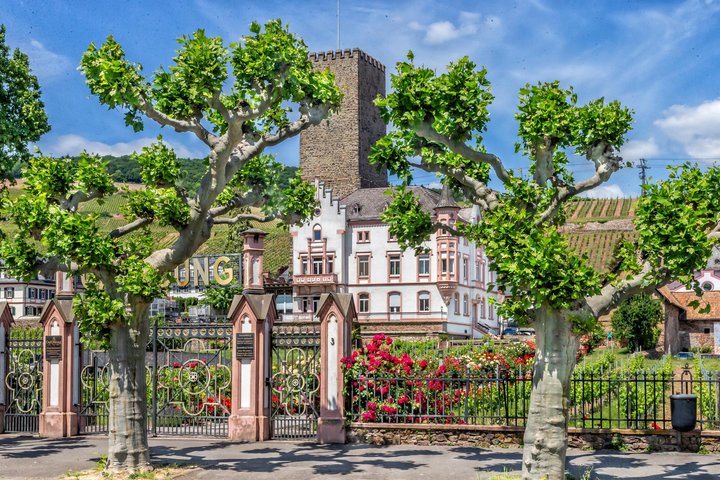 Boosenburg in Rüdesheim