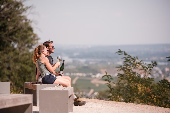 Weinwanderung in Rüdesheim