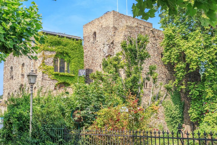 Brömser Burg im Frühjahr