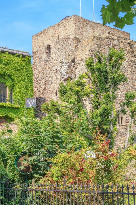 Brömser Burg im Frühjahr