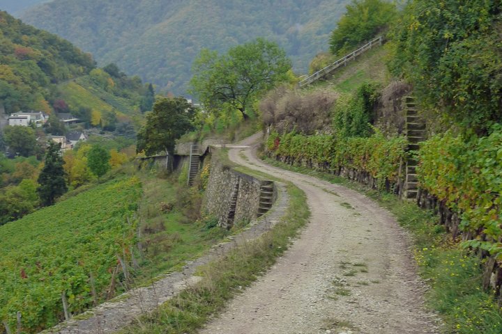 Weg Richtung Assmannshausen