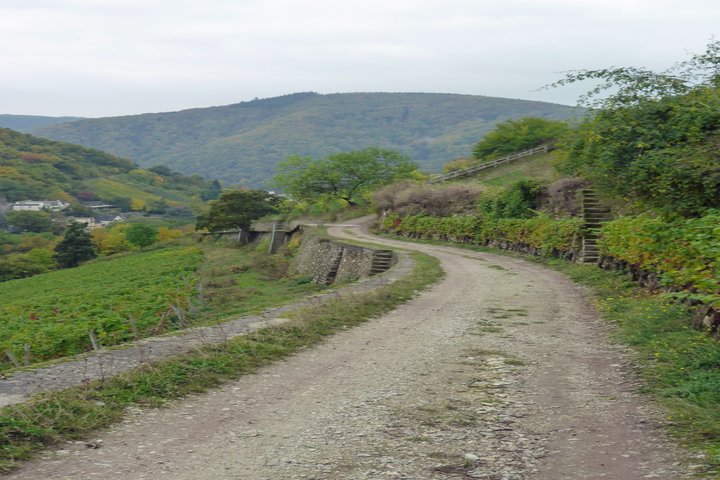 Weg Richtung Assmannshausen