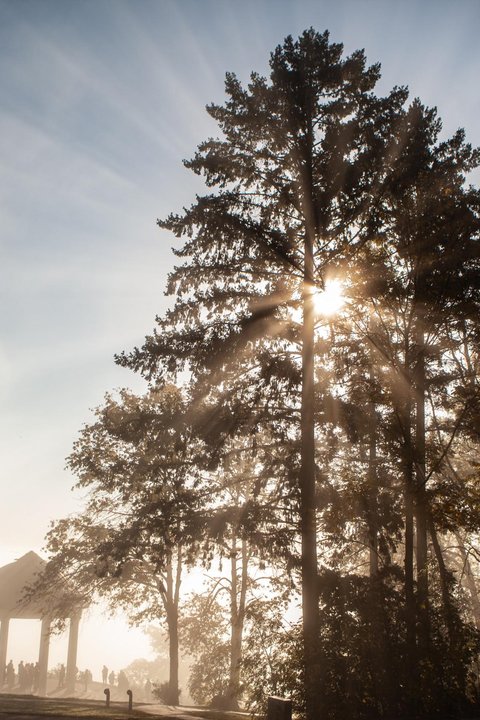 Osteinscher Niederwald Park