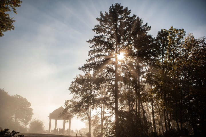 Osteinscher Niederwald Park