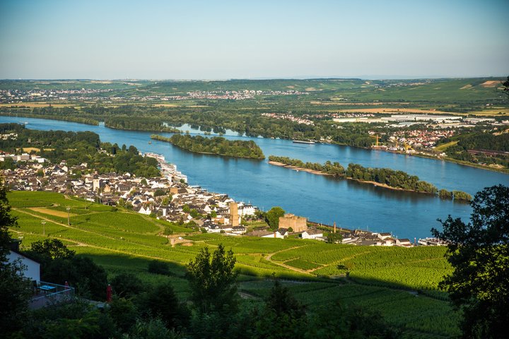 Blick auf Rüdesheim