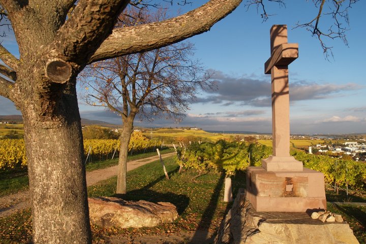 Ausblick Schönste Weinsicht Geisenheim