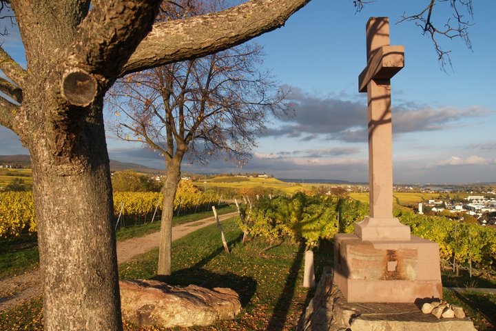 Ausblick Schönste Weinsicht Geisenheim