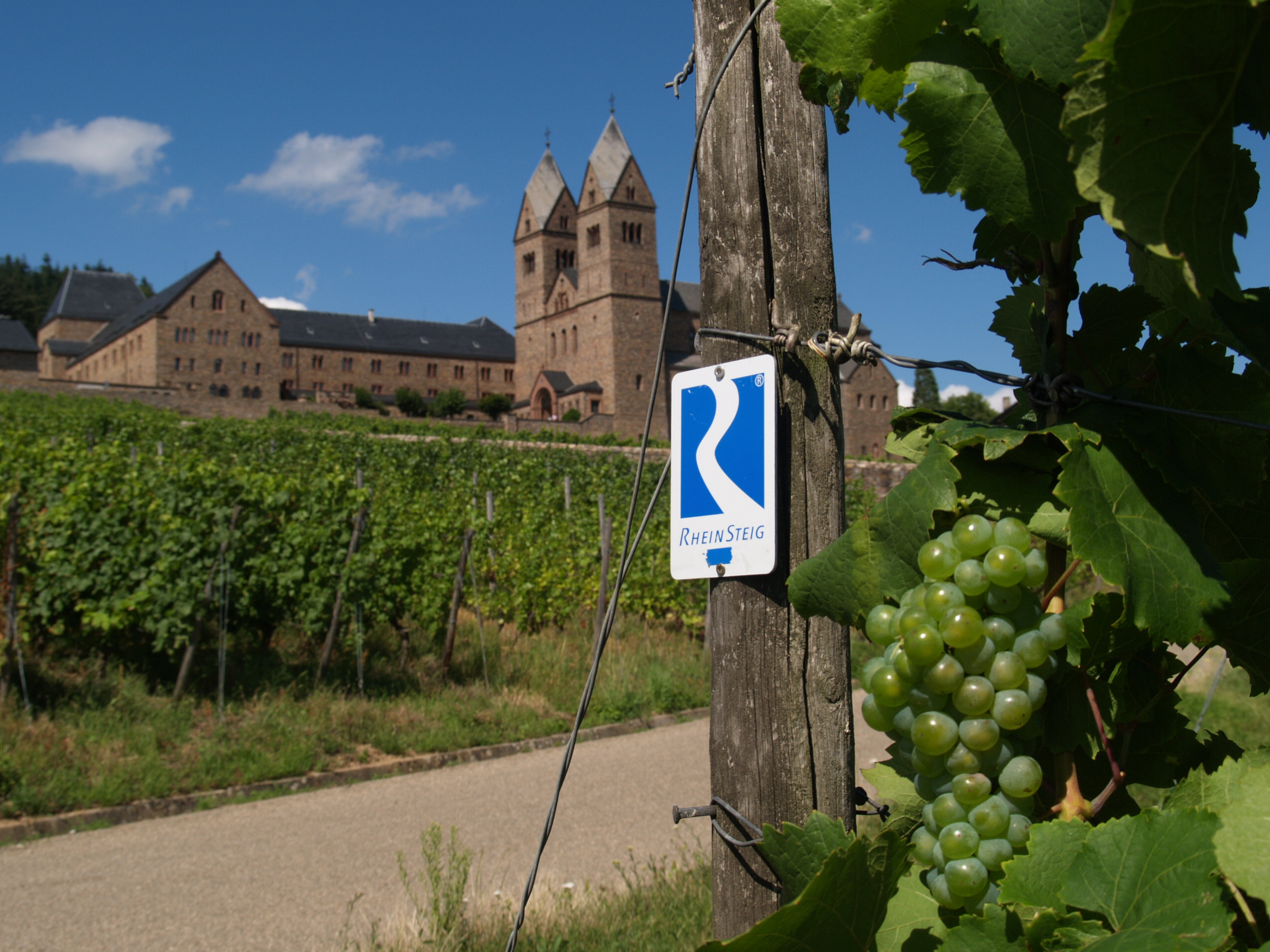 Rheinsteig in Eibingen Ein Holzpfosten mit der Beschilderung Rheinsteig ist im Vordergrund zu sehen. Im Hindergrund erstrecken sich die Weinberge mit Blick auf das Kloster St. Hildegard.